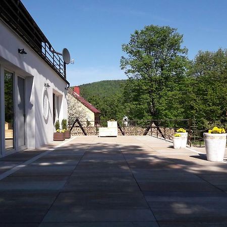 Leonowka Bieszczady Bed and Breakfast Cisna Εξωτερικό φωτογραφία