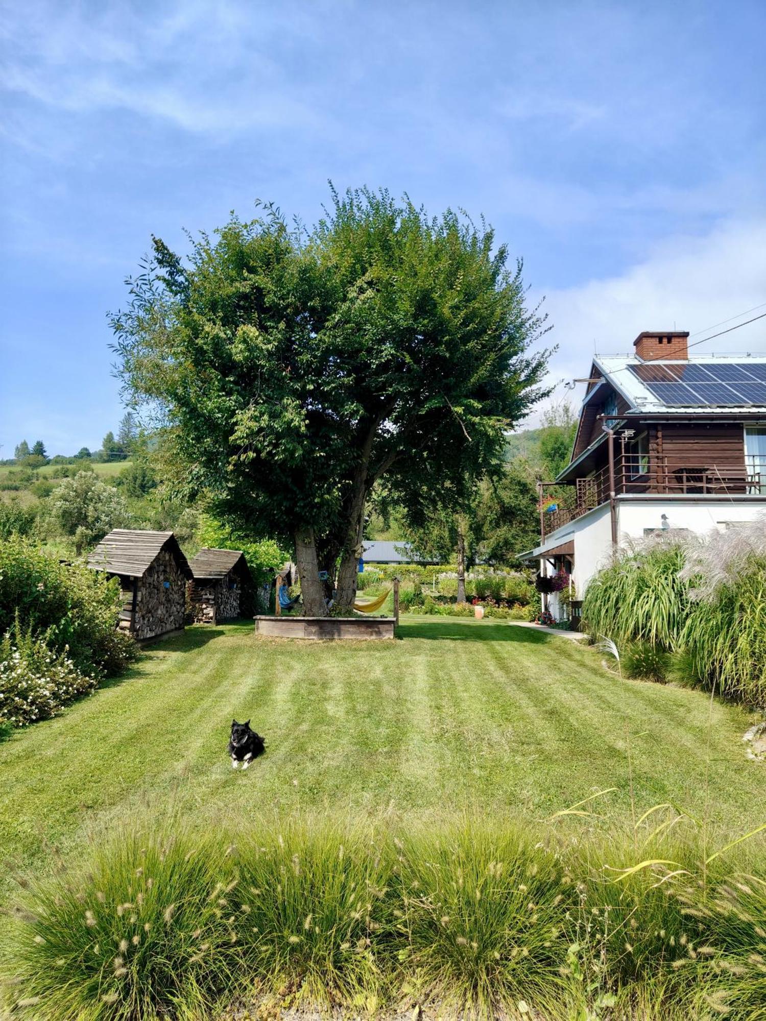Leonowka Bieszczady Bed and Breakfast Cisna Εξωτερικό φωτογραφία