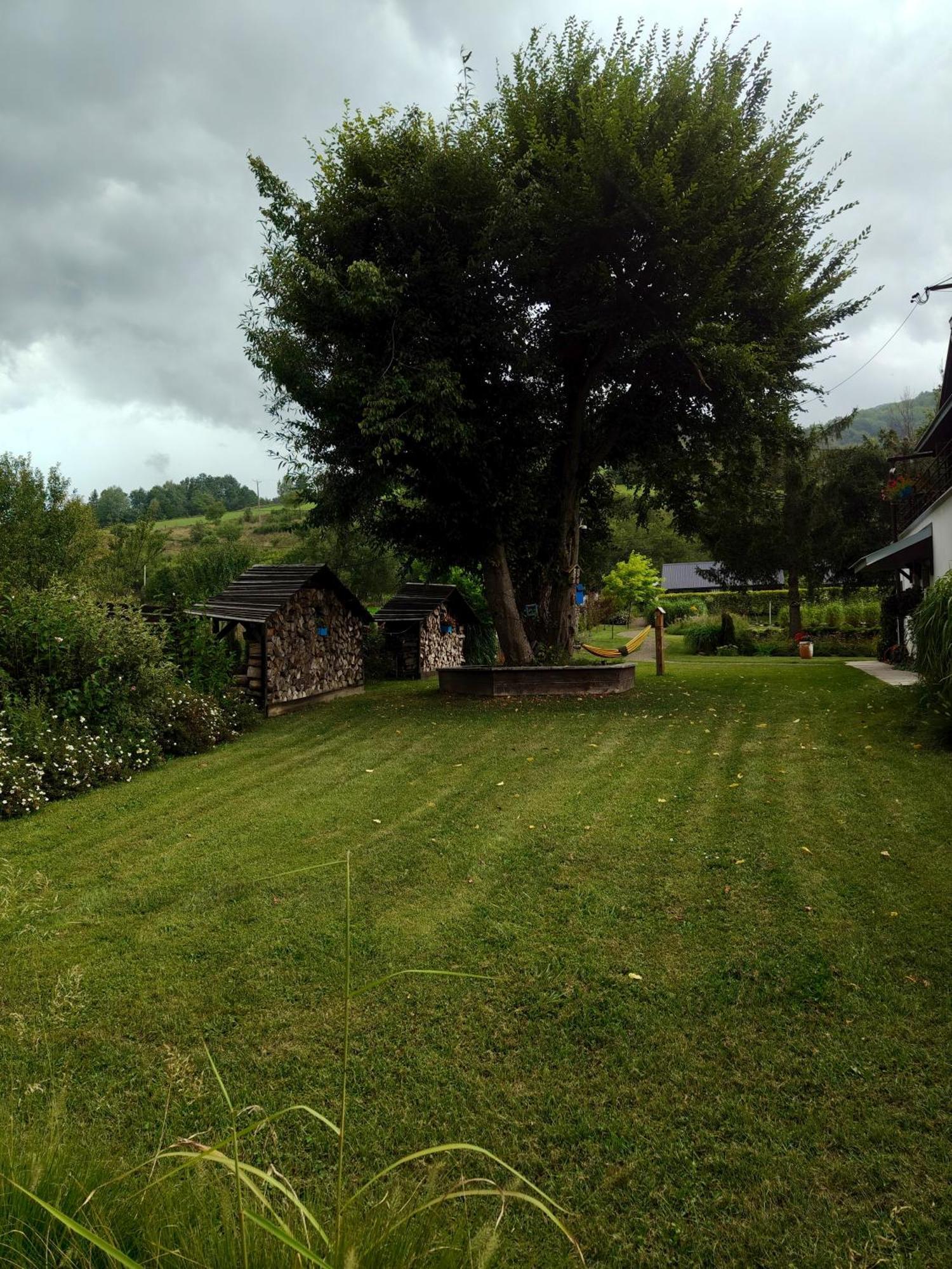 Leonowka Bieszczady Bed and Breakfast Cisna Εξωτερικό φωτογραφία