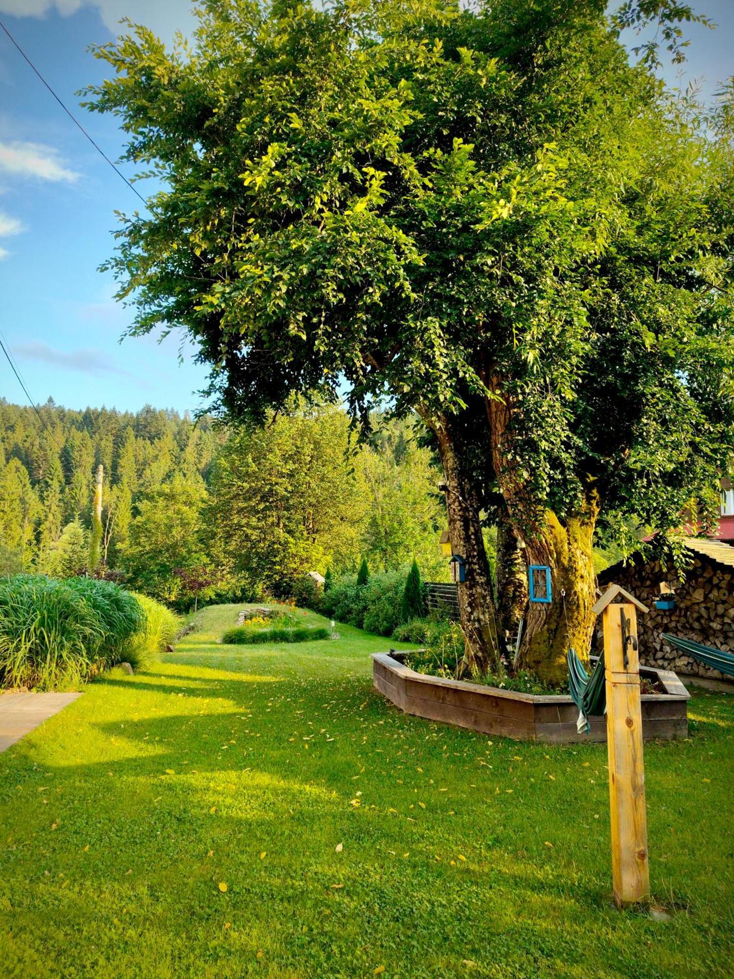 Leonowka Bieszczady Bed and Breakfast Cisna Εξωτερικό φωτογραφία