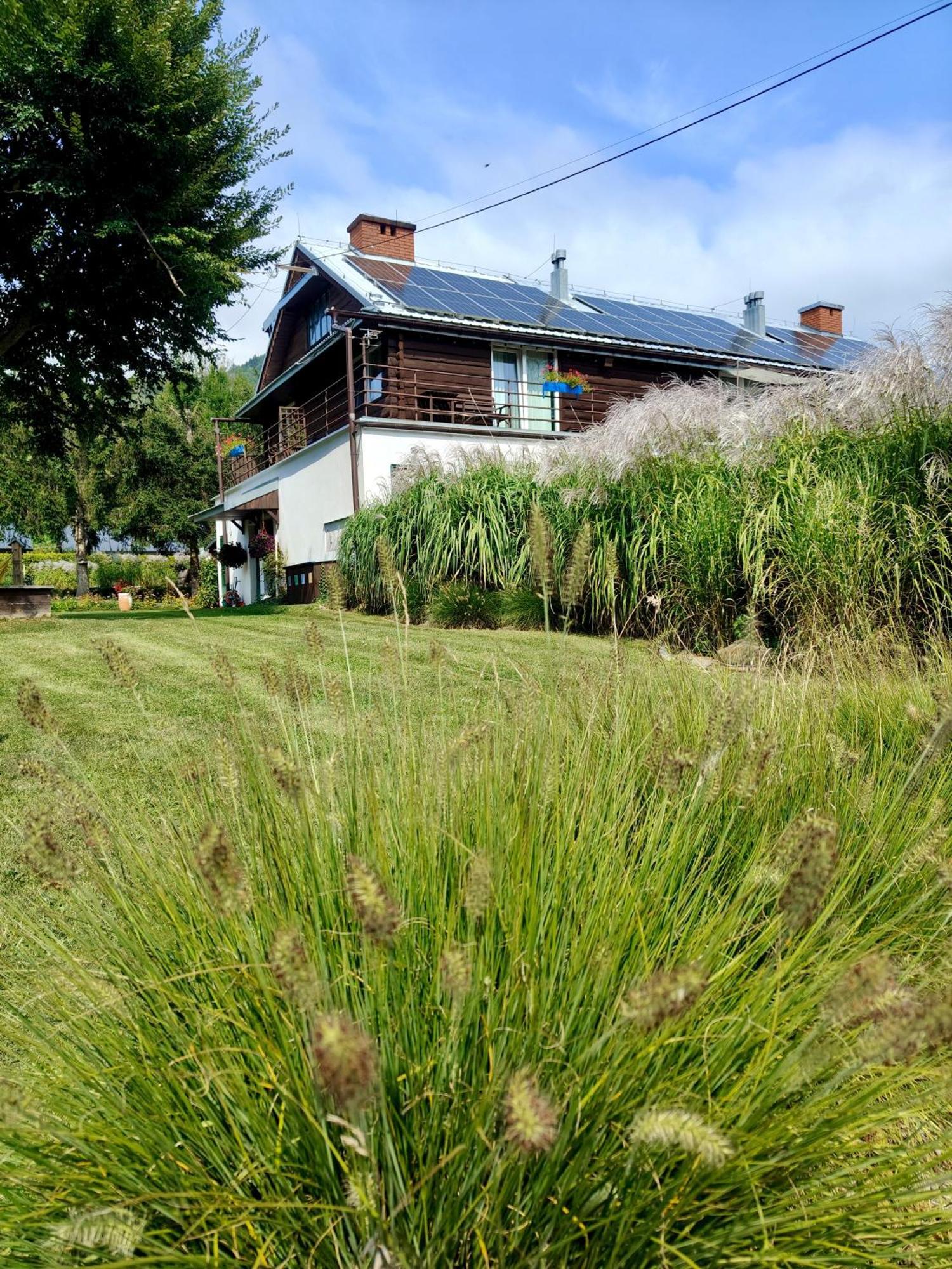 Leonowka Bieszczady Bed and Breakfast Cisna Εξωτερικό φωτογραφία