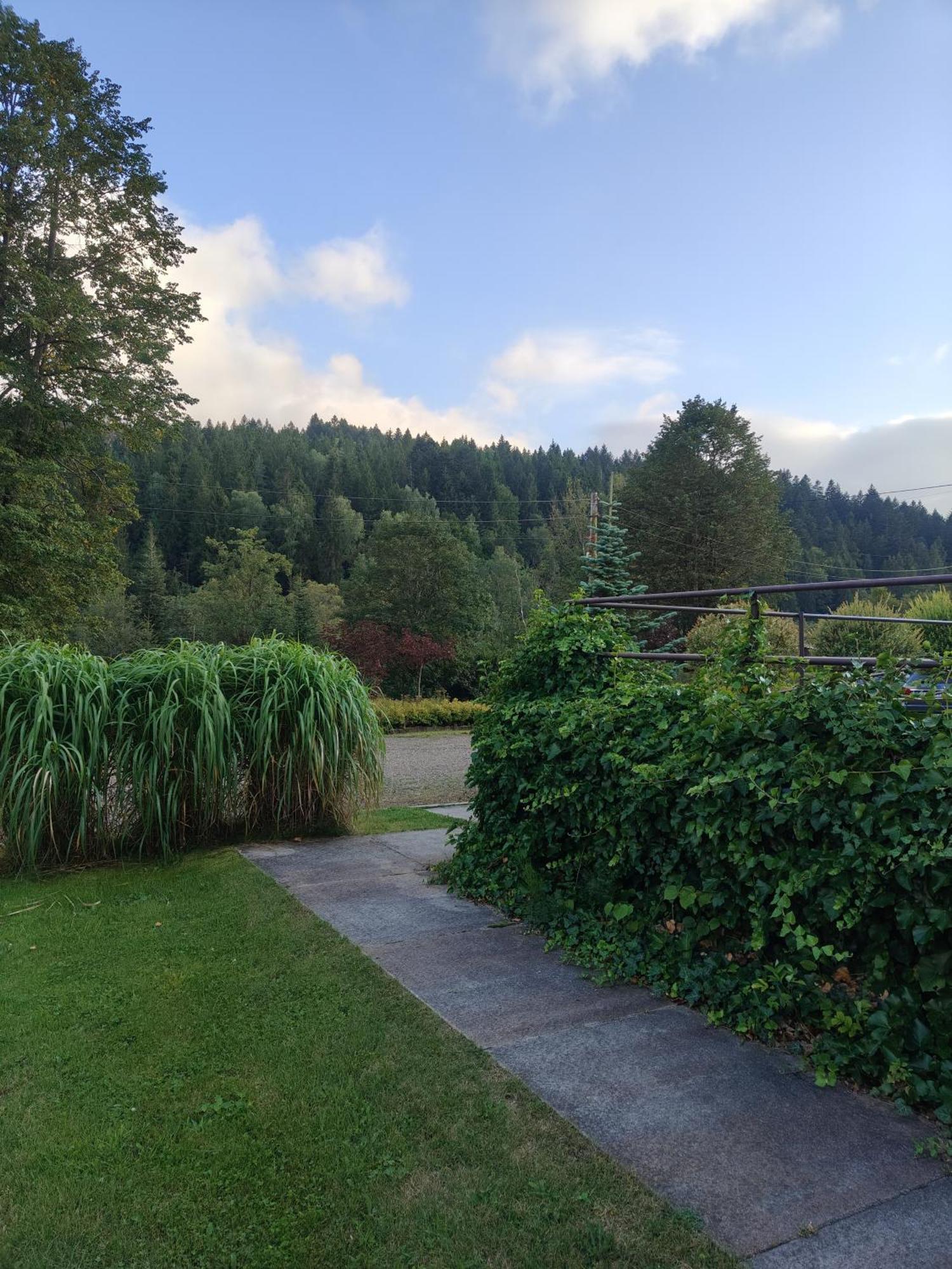 Leonowka Bieszczady Bed and Breakfast Cisna Εξωτερικό φωτογραφία