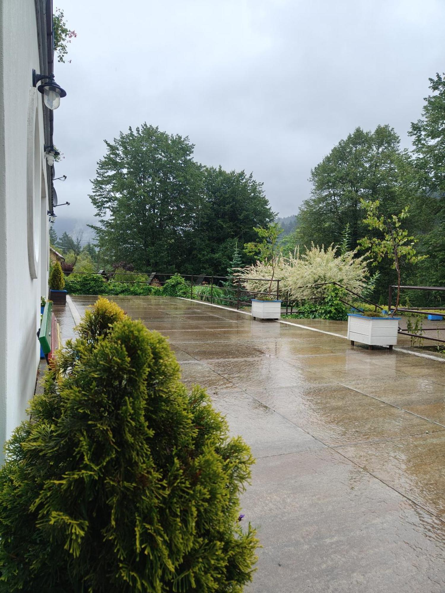Leonowka Bieszczady Bed and Breakfast Cisna Εξωτερικό φωτογραφία